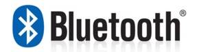 Руководство пользователя адаптера для ГБО Bluetooth